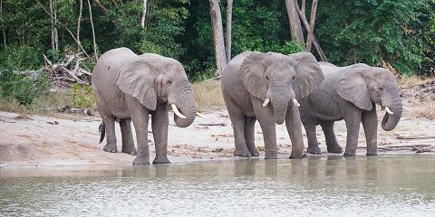 12-Day Kenya & Tanzania Budget Group Sharing Safari