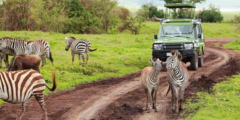 4-Day Marvellous Affodarble Tanzania Safari