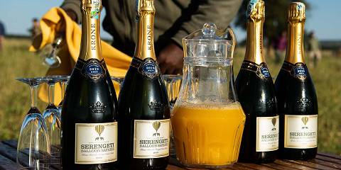 Luxury Tour Tarangire / Serengeti / Ngorongoro