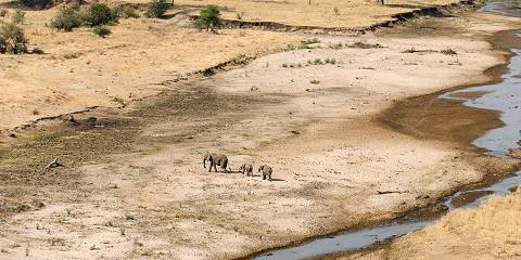 Midrange Tarangire & Lake Manyara