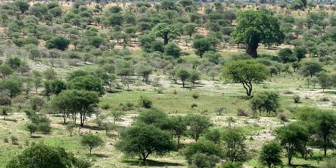 Luxury Escape to Tarangire, Ngorongoro and Manyara