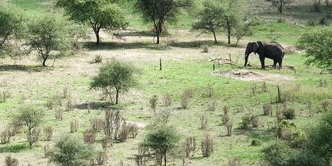 Forever Unforggetable Luxury Safari