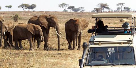 3-Day Northern Circuit Luxury Safari