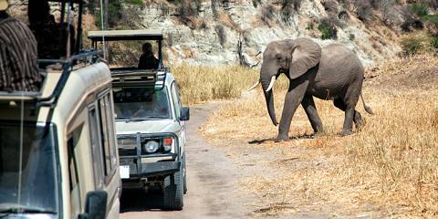 3-Day Serengeti & Ngorongoro, a Timeless Safari
