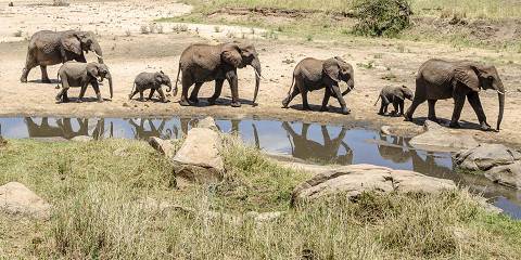 6-Day Tanzania Wildlife Midrange Safari & Maasai Visit