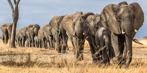 3-Day Budget Lodge Safari Joining Group