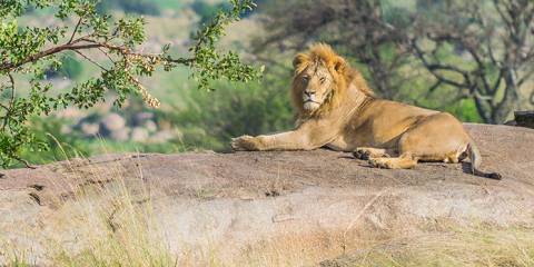 7-Day Northern Circuit Wildlife Safari Adventure