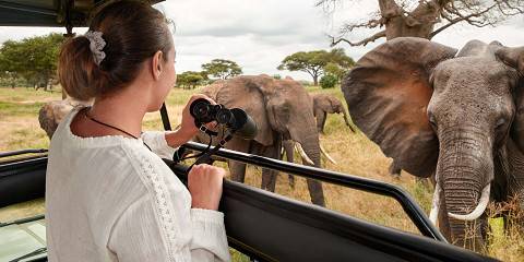 4-Day Luxury Romantic Honeymoon Safari in Tanzania