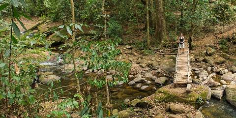 1-Day Trip to Materuni Waterfall & Kikuletwa Hot Springs