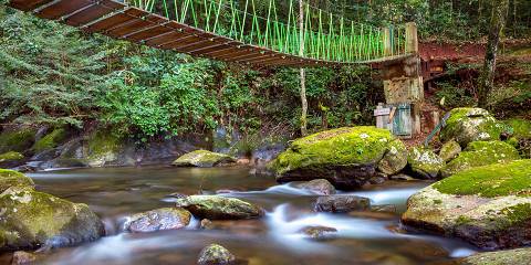 3-Day Mikumi & Udzungwa Mountains Trekking by Train