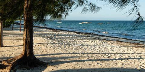 8-Day Tanzania Safari & Zanzibar Experience