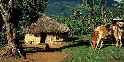 11-Day Safari Wilderness & White Beaches Comfort