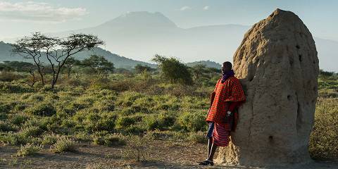 Lake Natron - Lake Manyara - Tarangire NP