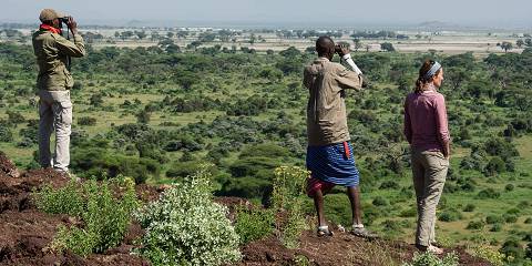 2-Day Best of Tanzania Safari Experience
