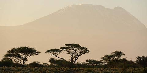 1-Day Exploring West Kilimanjaro Nature
