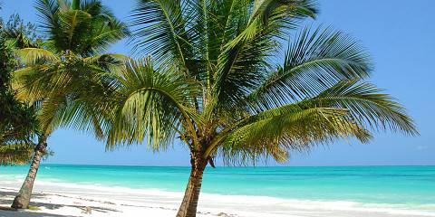 8-Day Honeymoon Safari to Beach Calm