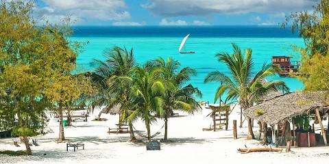 From Serengeti Savannah to Zanzibar Sands