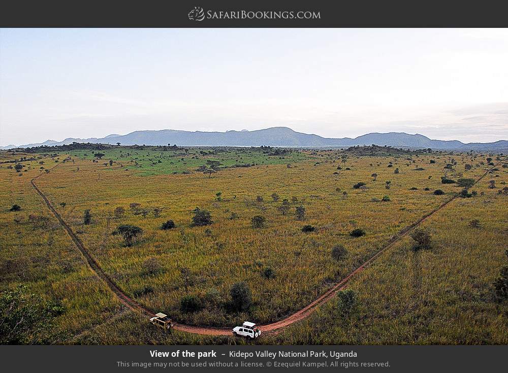 View of the park in Kidepo Valley National Park, Uganda