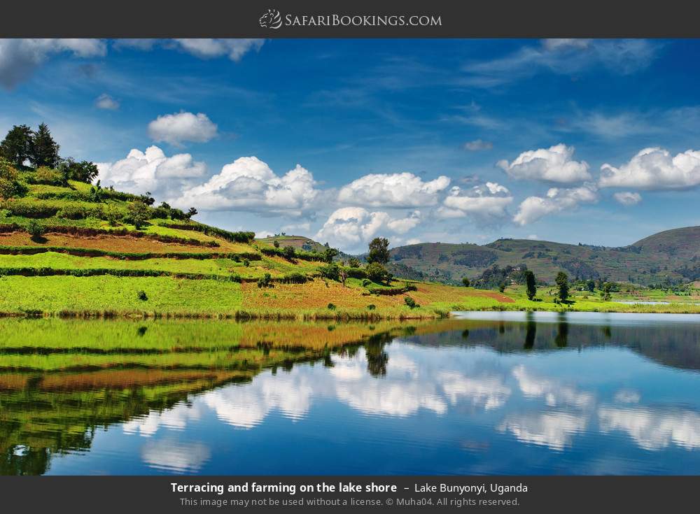Terracing and farming on the shore of Lake Bunyonyi in Lake Bunyonyi, Uganda