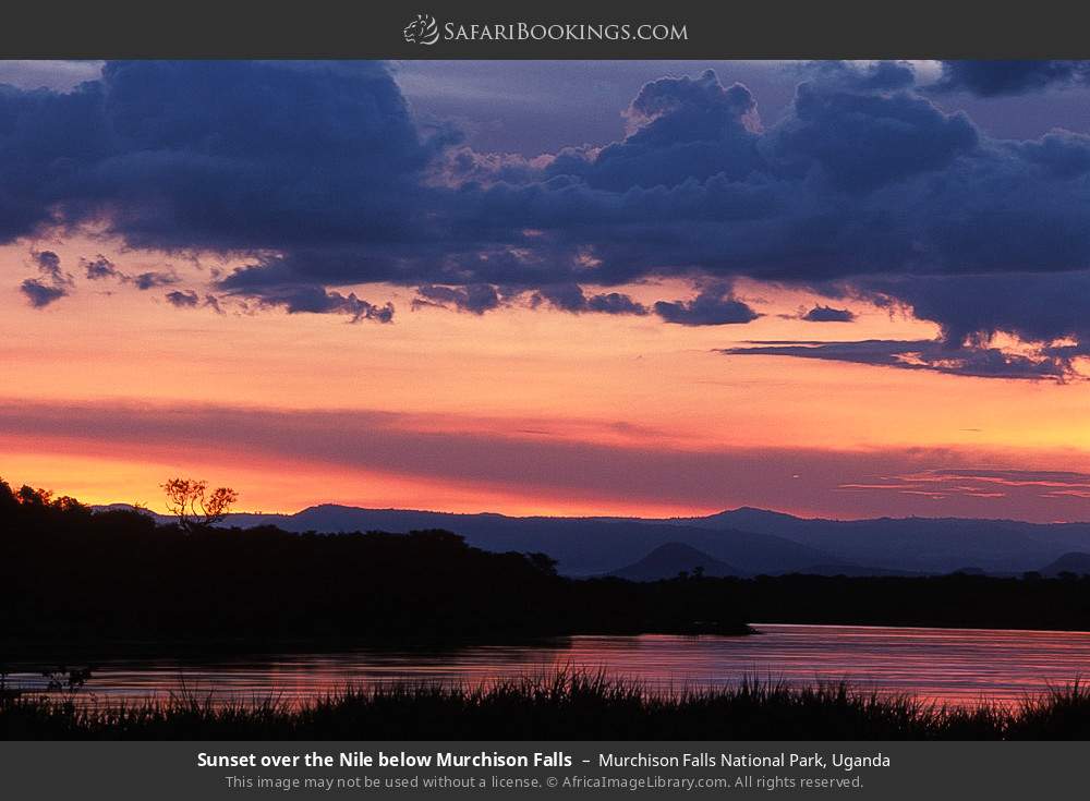 Sunset over the Nile below Murchison Falls in Murchison Falls National Park, Uganda