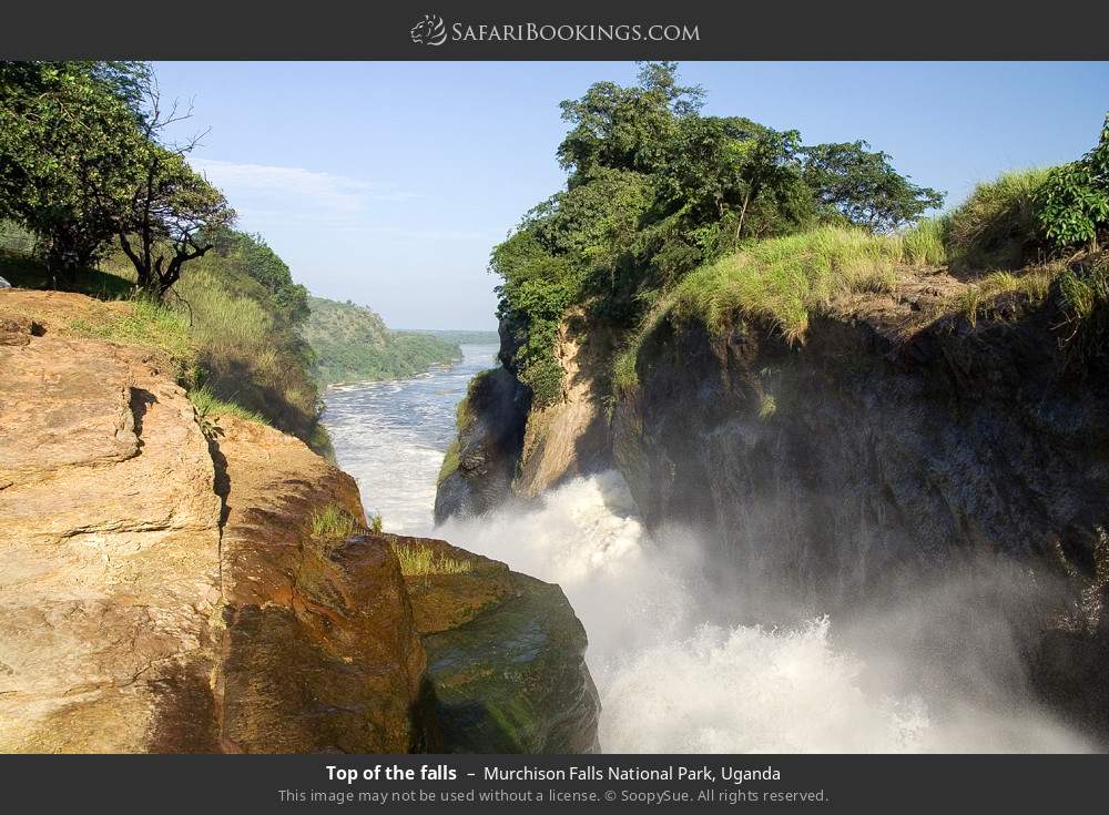 Top of Murchison Falls in Murchison Falls National Park, Uganda