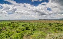 Pian Upe Wildlife Reserve
