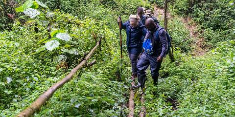 3-Day Uganda Gorilla Experience, Relax at Lake Bunyonyi
