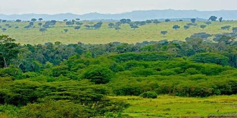3-Day Queen Elizabeth National Park and Chimps Tracking