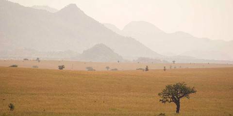 6-Day Kidepo Valley Safari & Karamojong Cultural Tour
