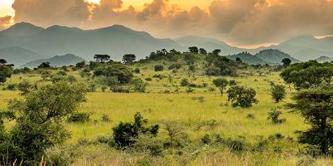 3-Day Fly in Safari to Kidepo Valley