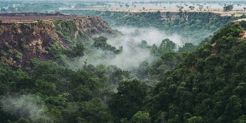 5-Day Bwindi NP, Lake Bunyonyi & Queen Elizabeth Safari