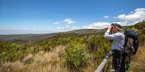 Naivasha Exploration Tour