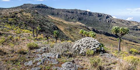 5-Day Mount Elgon Hiking Experience