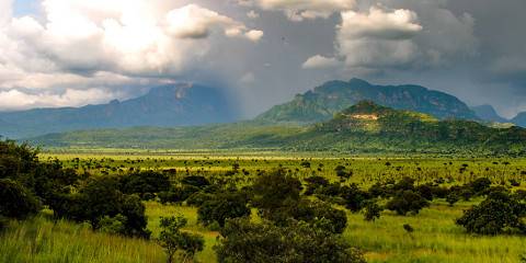 Pian Upe Game Reserve