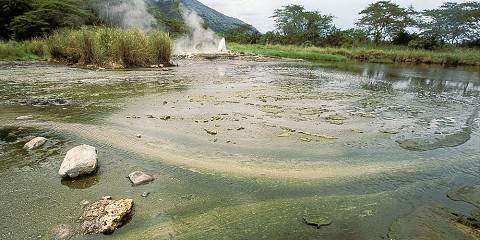 13-Day Uganda Classic Family Safari