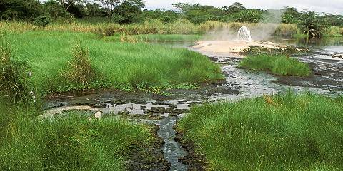 3-Day Gorilla Flying Luxury Safari Tour