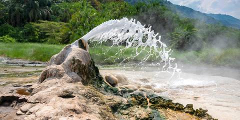4-Day Semliki and Queen Elizabeth NP Safari