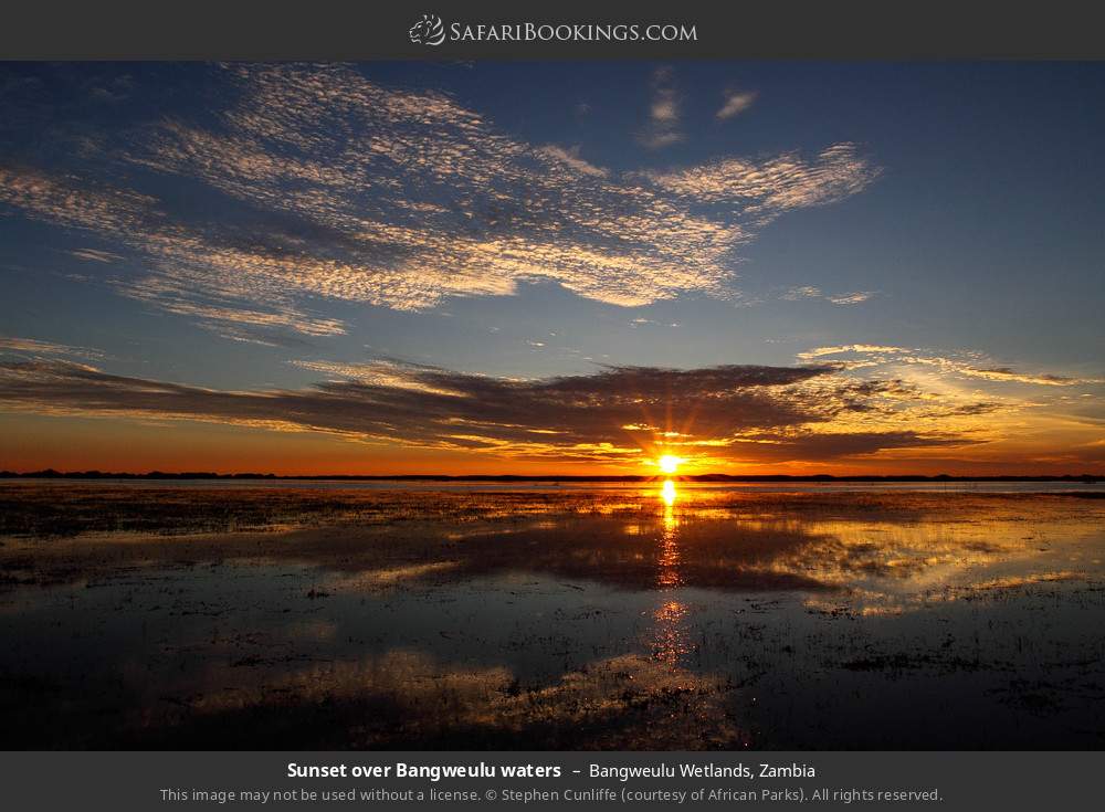 Sunset over Bangweulu Wetlands in Bangweulu Wetlands, Zambia