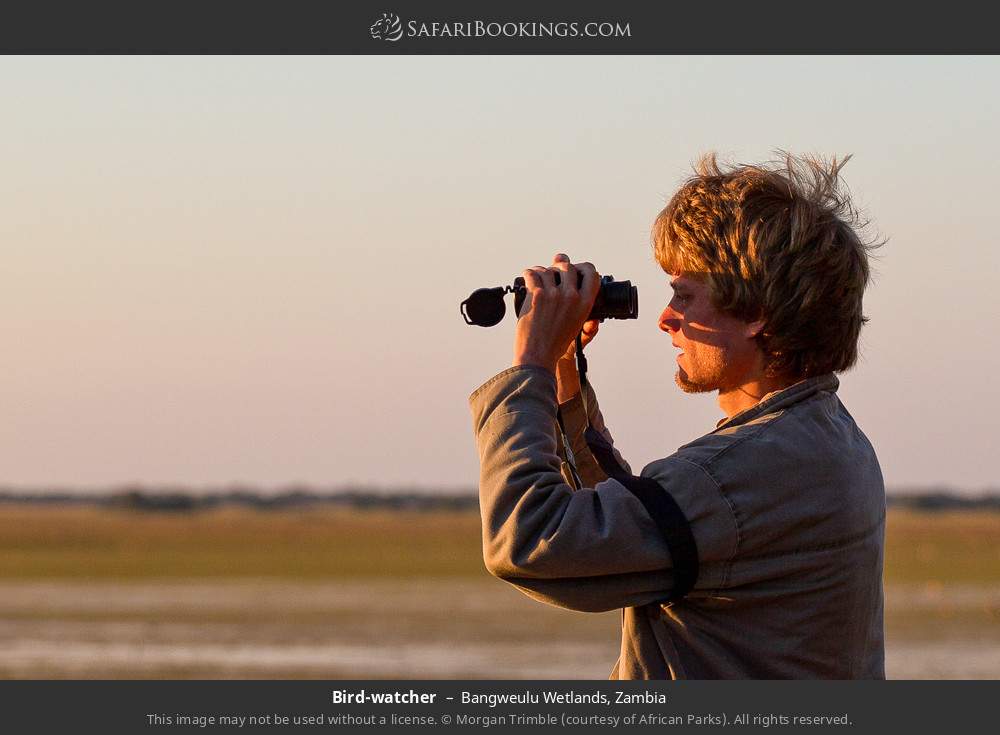 Bird-watcher in Bangweulu Wetlands, Zambia