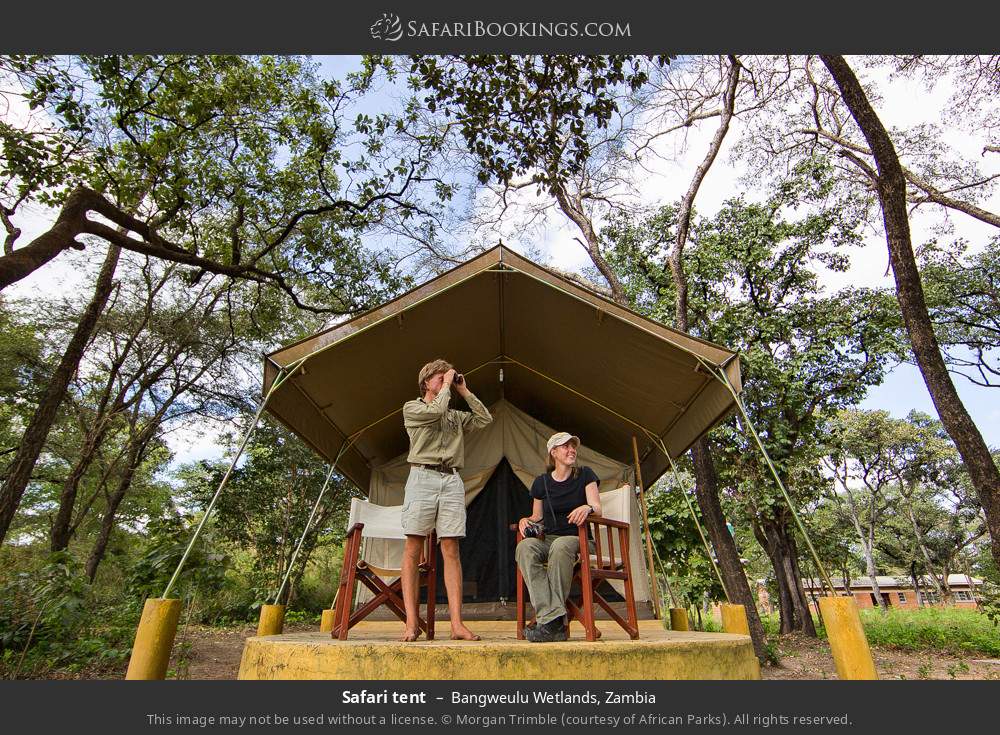 Safari tent in Bangweulu Wetlands, Zambia