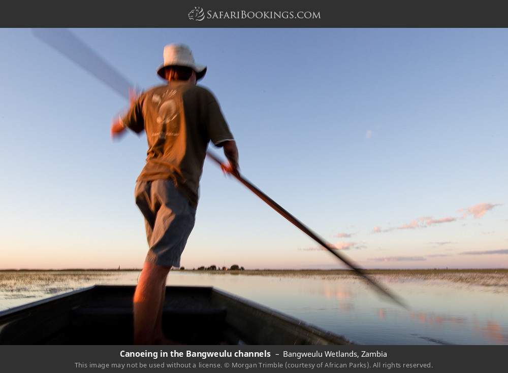 Canoeing in the Bangweulu channels in Bangweulu Wetlands, Zambia