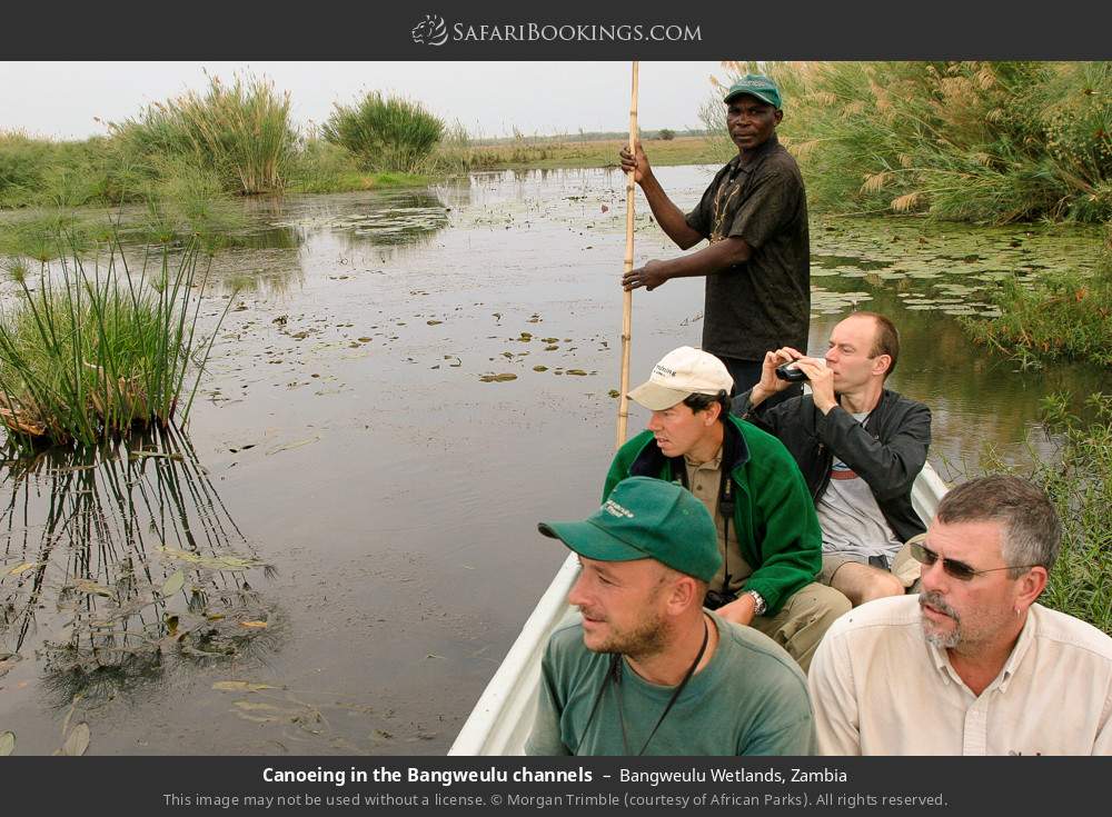 Canoeing in the Bangweulu channels in Bangweulu Wetlands, Zambia