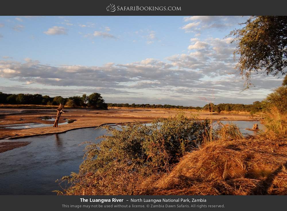 The Luangwa River in North Luangwa National Park, Zambia