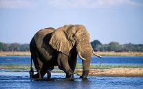 Lower Zambezi National Park