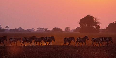 12-Day Zambia Unfiltered