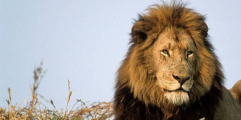 4-Day Kafue National Park