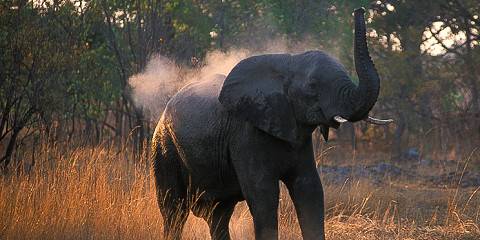 10-Day South Luangwa, Lower Zambezi and Kafue