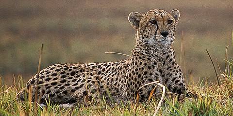 11-Day Kafue National Park from South to North
