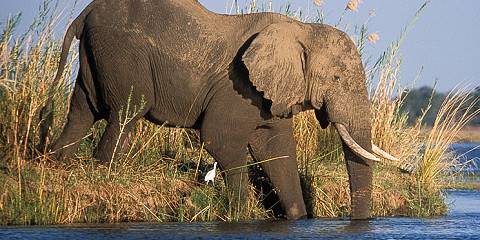 4-Day Adventure Safari (Canoeing & Game Drive)