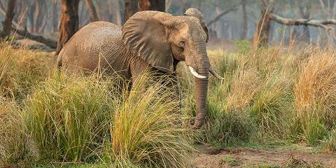 Kariba Houseboat and Lower Zambezi Safari